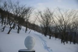 【平日限定山行】関東甲信越初級　雪山第１回　変更【入笠山】２０２３年２月２日