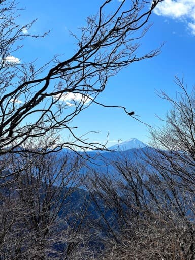 【定員締切】2/5(日)百尋ノ滝の氷瀑＋川苔山へ！参考画像:1