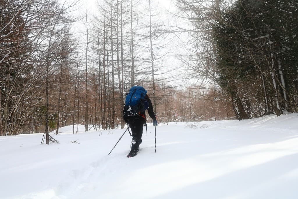 2月12日冬の赤城山へ！！　前橋から8時45分のバス乗ります🙆‍♂️参考画像:1
