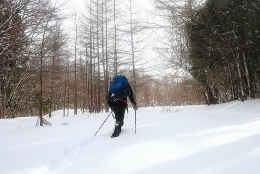 2月12日冬の赤城山へ！！　前橋から8時45分のバス乗ります🙆‍♂️参考画像:1