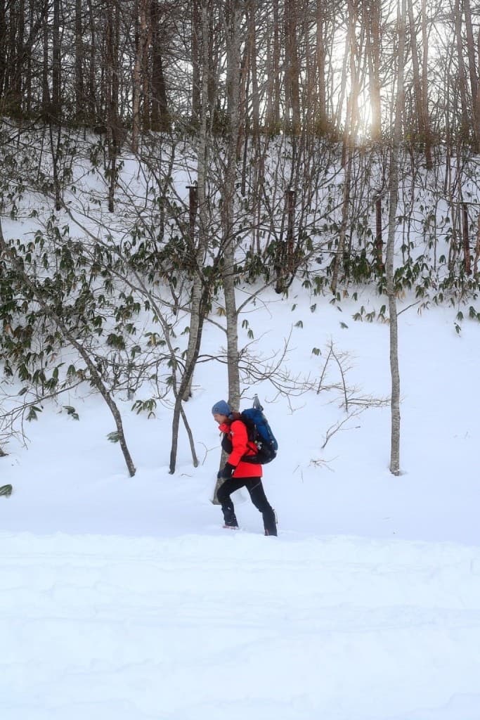 2月12日冬の赤城山へ！！　前橋から8時45分のバス乗ります🙆‍♂️参考画像:0