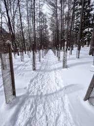 YURUYURU_OUTDOOR