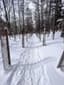 YURUYURU_OUTDOOR