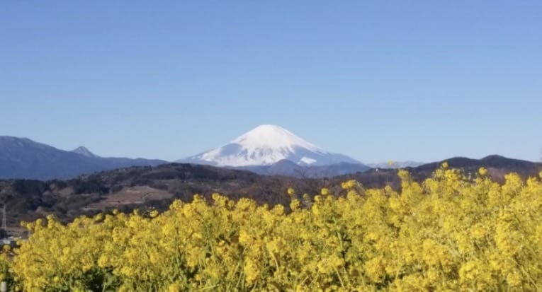 吾妻山〜鷹取山参考画像:0