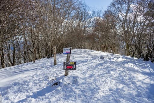 2/26(日)御坂黒岳【山梨県】参考画像:1