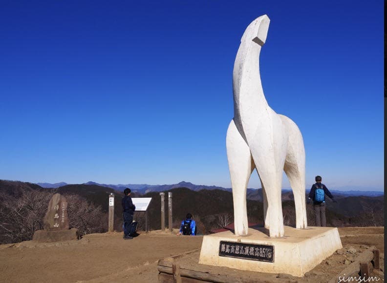 3/11(土)陣馬山〜高尾山参考画像:0