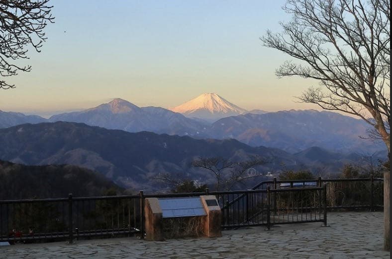 3/11(土)陣馬山〜高尾山参考画像:2