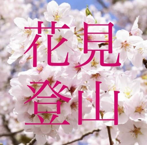 3/25 花見な軽登山