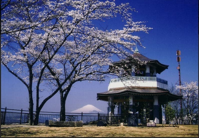 4/2(日)弘法山お花見ハイキング🌸参考画像:1