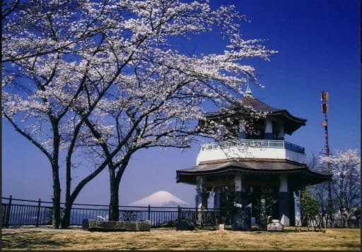 4/2(日)弘法山お花見ハイキング🌸参考画像:1