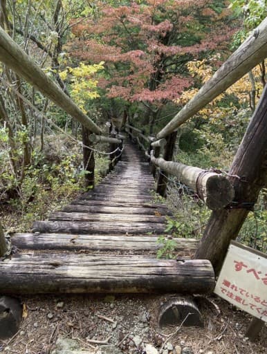 (日程未定)鹿島山→大鈴山→平山明神山→岩古谷山　4座周回アスレチックルート参考画像:1