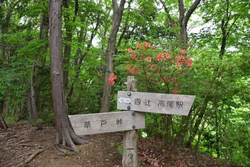4/9（日）南高尾・草戸山・ニリンソウ群生地
