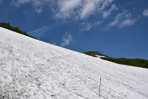 【あと１名】6/17-18（土日）焼石岳（花の百名山）参考画像:1