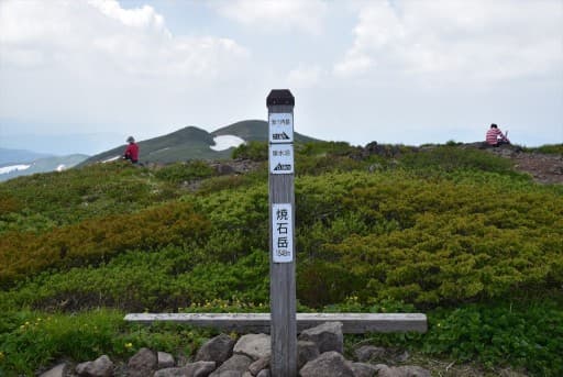 【あと１名】6/17-18（土日）焼石岳（花の百名山）参考画像:2