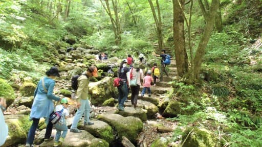 御岳山・ロックガーデン