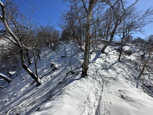 大船、藤沢登山クラブ
