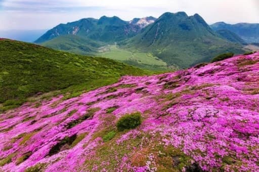 【募集中】くじゅう連山縦走