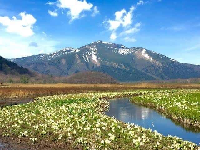尾瀬ヶ原・水芭蕉三条の滝参考画像:0