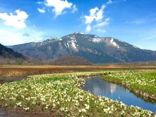 尾瀬ヶ原・水芭蕉三条の滝