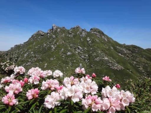 宮之浦港付近か安房港から淀川登山口まで⛰