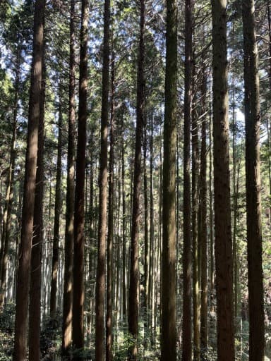 関西の登山仲間募集します！参考画像:1