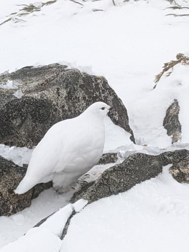 医療従事者限定お仲間募集！袖平山(1432m）