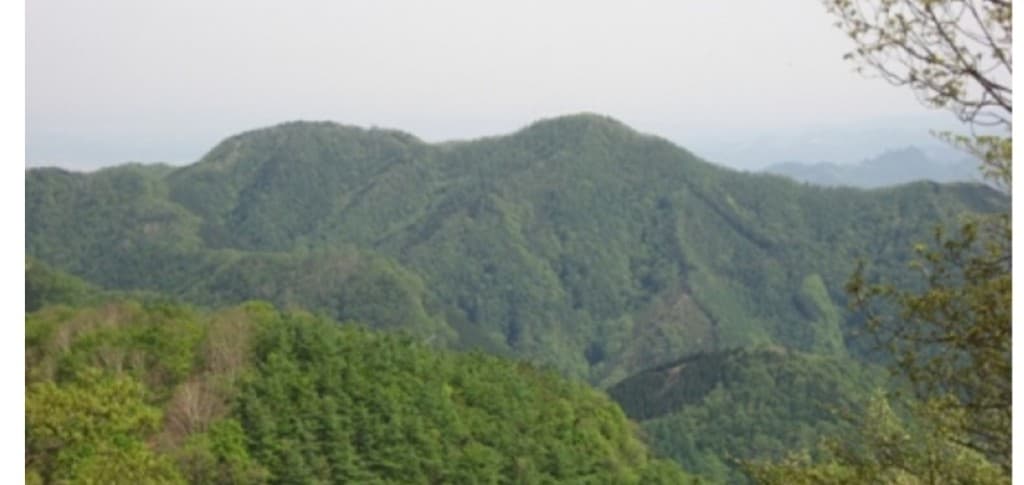 平日企画　新緑の川苔山参考画像:0