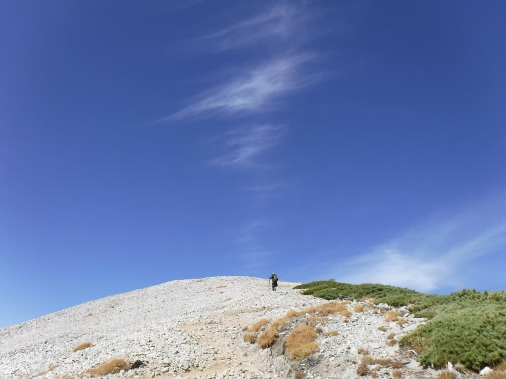 医療従事者限定お仲間募集！袖平山(1432m）参考画像:1