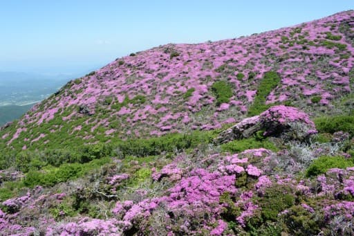 5月31日(水)～6月1日(木)　福岡空港～久住方面・相乗り募集、又は同行登山募集