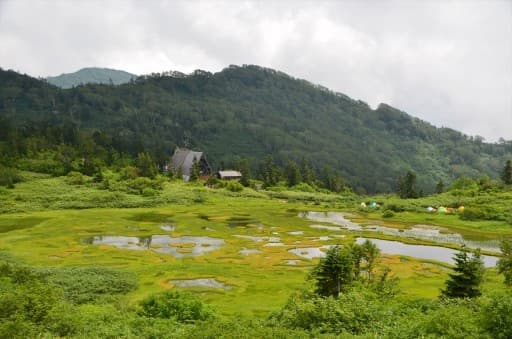 7/22-23（土日）火打山・妙高山（花の百名山・日本百名山）