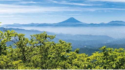 6月11日 山梨県 茅ヶ岳 ご一緒しませんか？