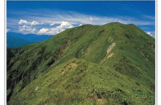 【日帰り】平標山／稜線の花畑へ（ハクサンイチゲ）