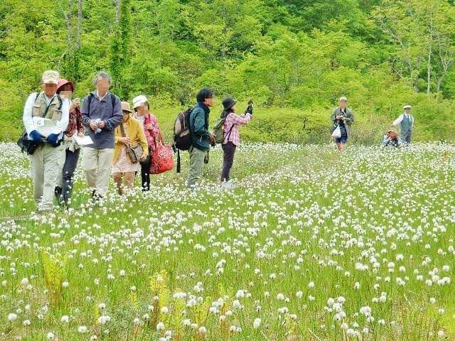 【天候不順につき中止】6/10,11 駒止湿原、田代山山開き参考画像:0