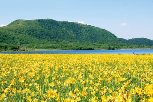 「募集 締切」　尾瀬よりスゴい⁉︎ 天空の花園 磐梯高原　雄国湿原