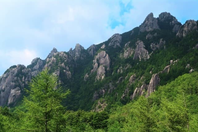 瑞牆山登山(現地集合or相乗り可)参考画像:0