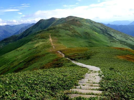【急募】6月17日(土)花の百名山 平標山＆仙ノ倉山 同行者募集【新座発】