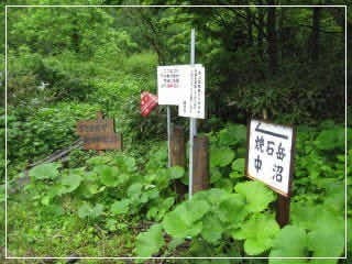 6/21(水)焼石岳