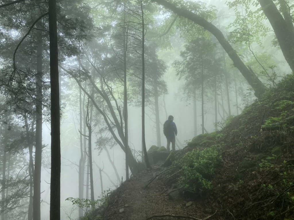 金時山で登山参考画像:0