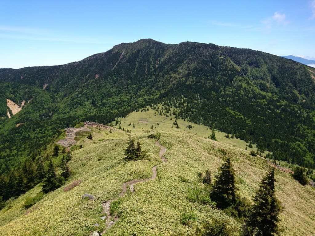 【急募】6月25日(日)花の百名山の根子岳＆日本百名山の四阿山 同行者募集【新座発】参考画像:0