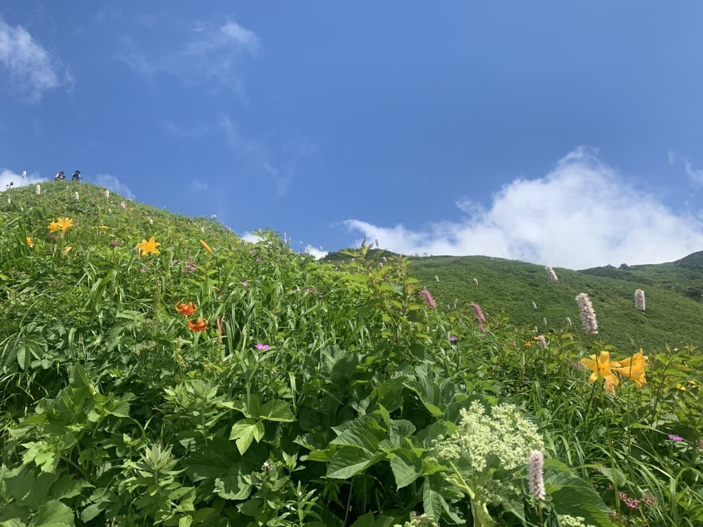白山に行きましょう参考画像:0