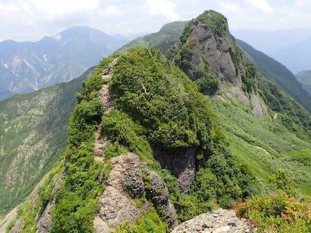 【急募】7/2(日) 八海山参考画像:0