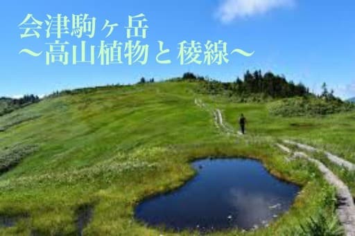7月15日（土）会津駒ヶ岳※14日夜発