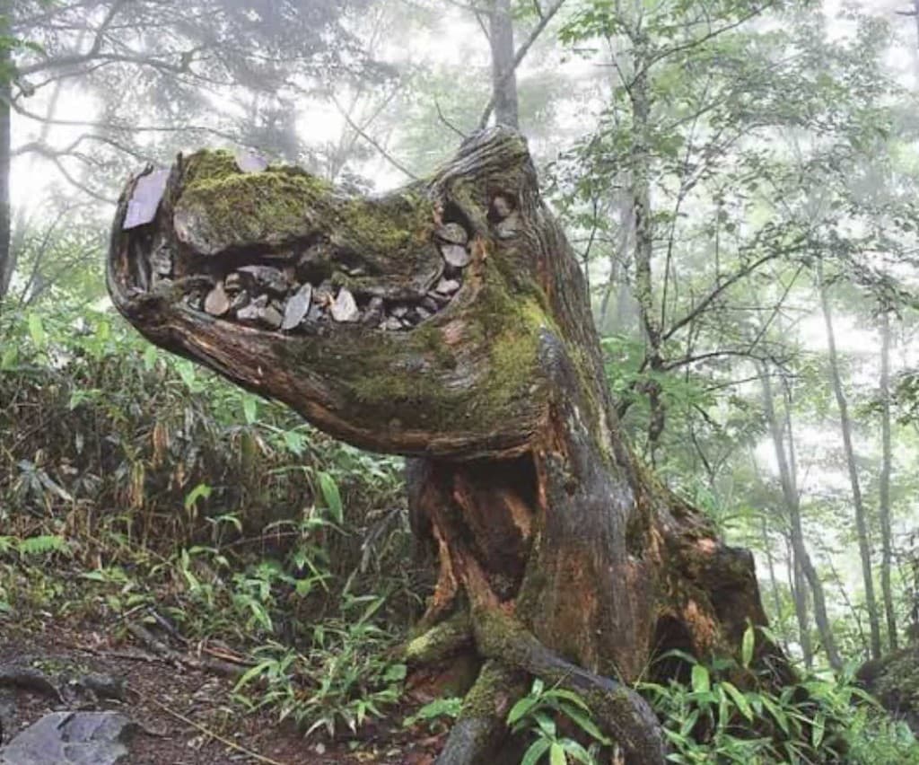穂高駅から三股登山口までのタクシーシェア参考画像:0
