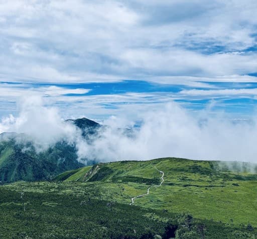 白山(8月中旬〜9月上旬)参考画像:1