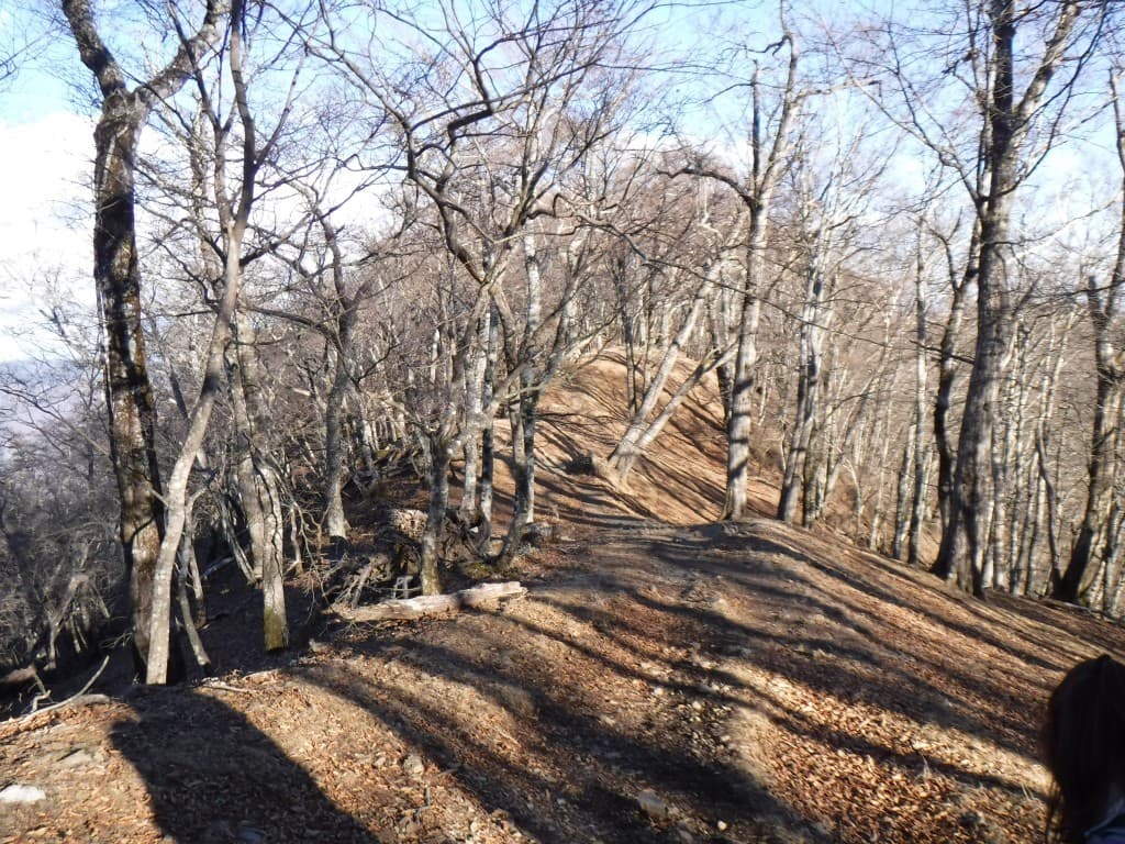 浪漫山行！ 雲取山1泊２日～三条の湯から鴨沢ルート～参考画像:1