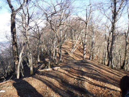 浪漫山行！ 雲取山1泊２日～三条の湯から鴨沢ルート～参考画像:1