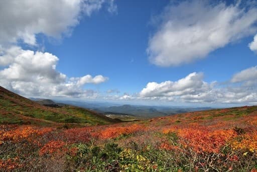 【満員御礼】9/30-10/01　神の絨毯　栗駒山　前泊　日曜登山　