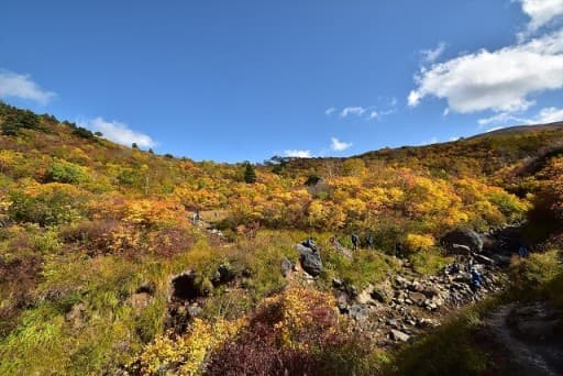 【満員御礼】9/30-10/01　神の絨毯　栗駒山　前泊　日曜登山　参考画像:1