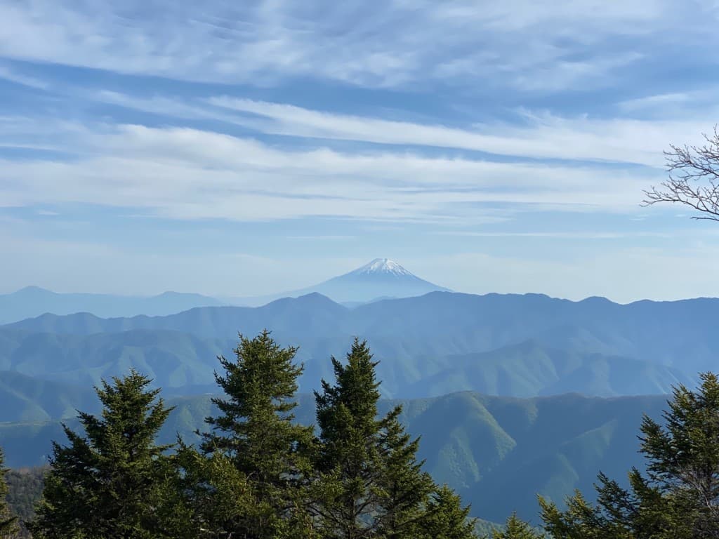山友募集 奥多摩近辺 日帰り中心参考画像:0