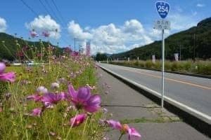 9/30（土）霧ヶ峰草紅葉ハイキング🔰参考画像:0